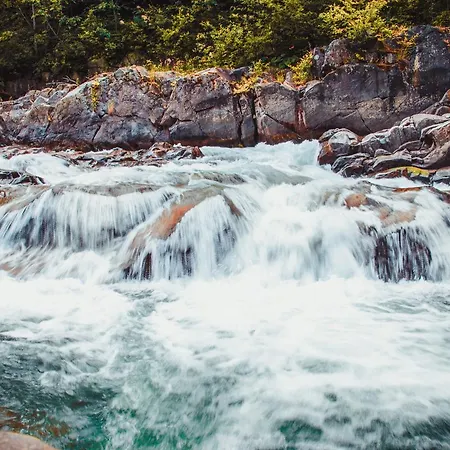 Golden Palace 3* Dubove